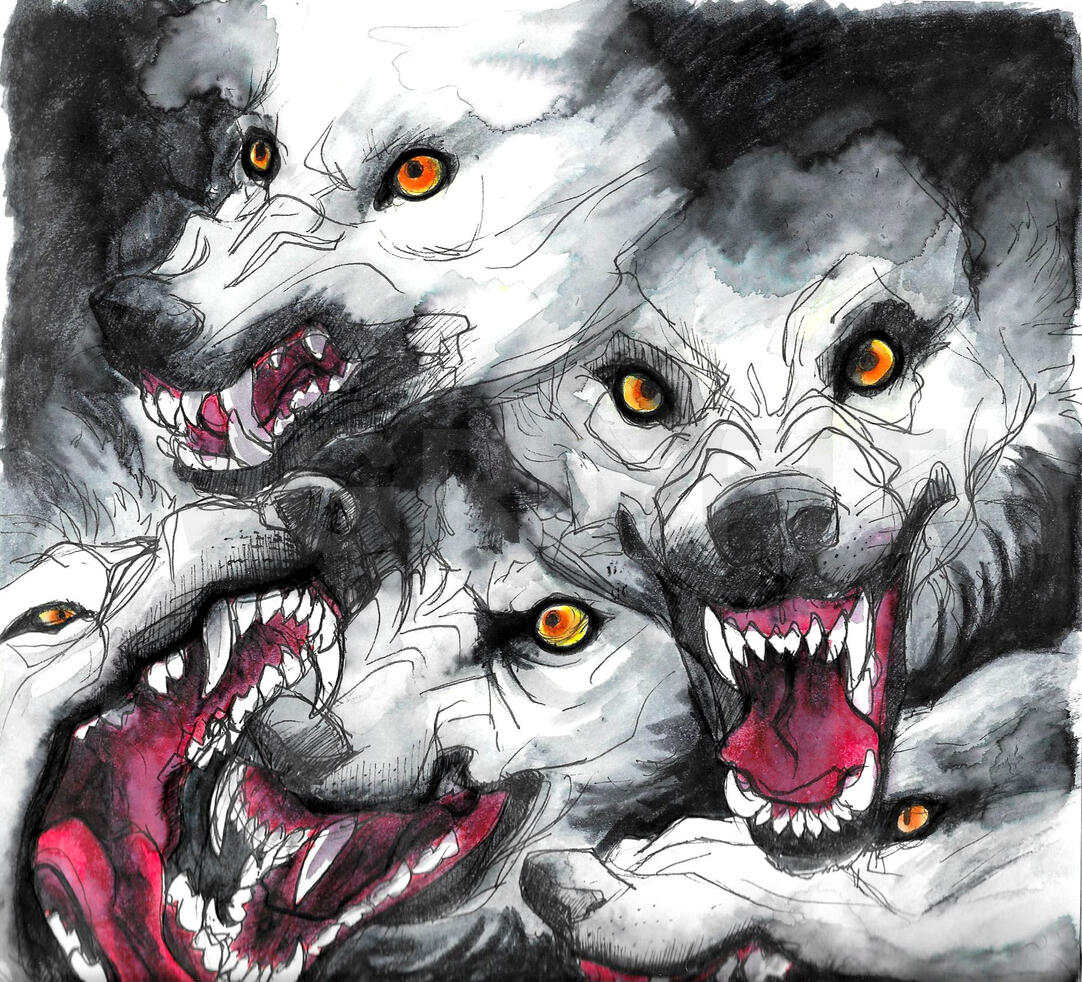 Wolves Wolves